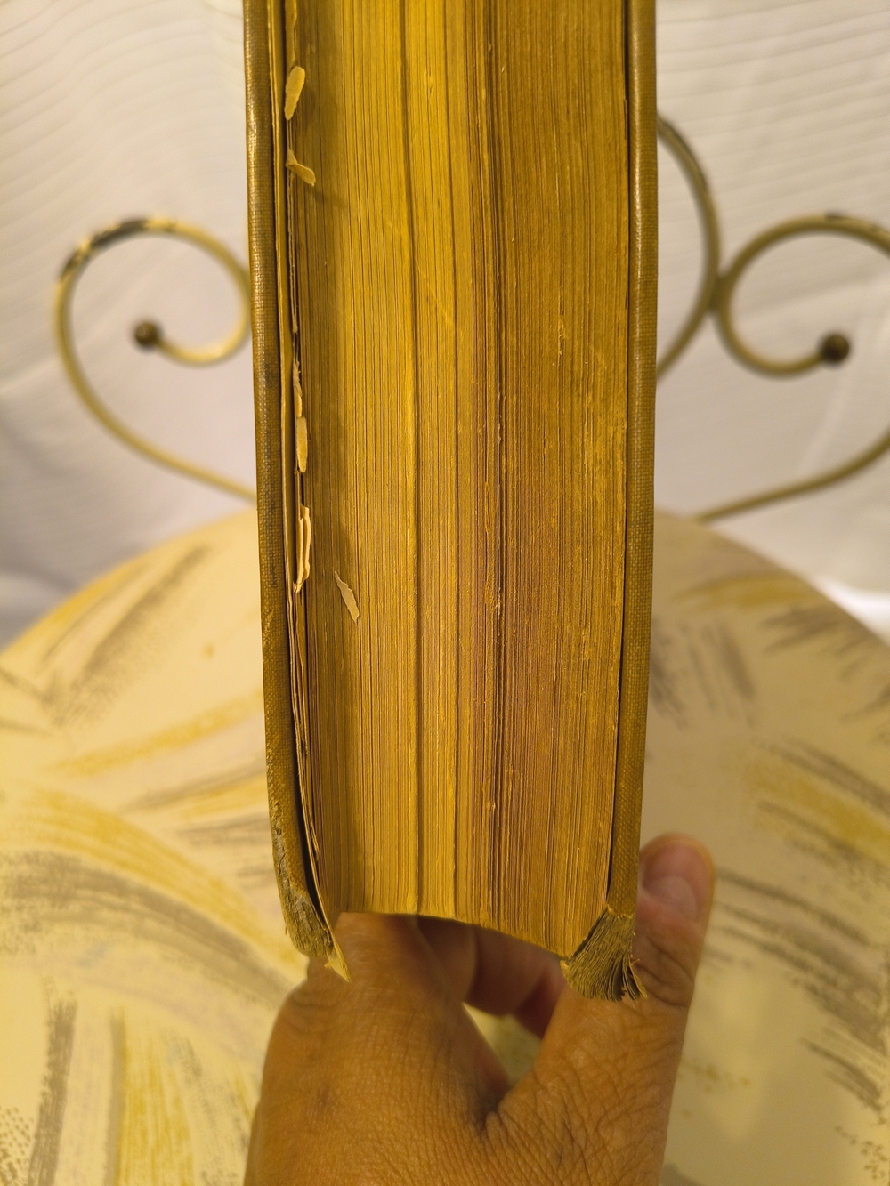 Rear Collectable Book - Picture 12 of 14